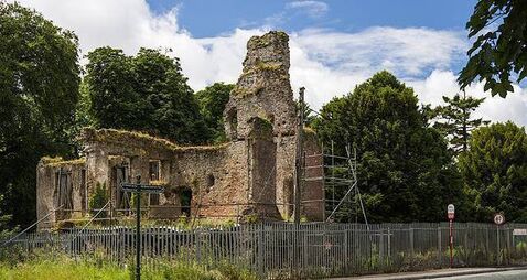 Remedial works to begin at Kildare castle ruins