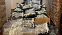 Two men (50s) arrested after over €1.5m of cannabis seized in Co Dublin