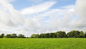 Father and son in dispute over land and house appear in court