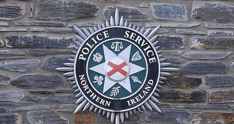 Four youths charged over assault on man and dog