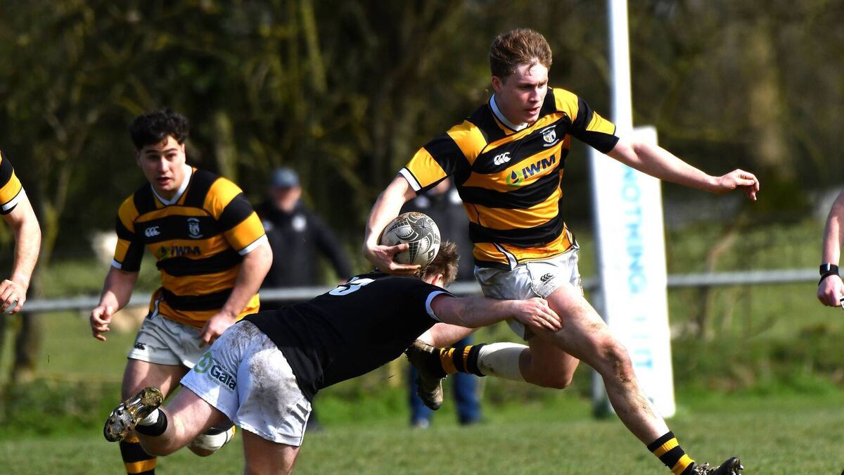 Newbridge edged out of thrilling Towns Cup tie