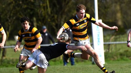 Newbridge edged out of thrilling Towns Cup tie
