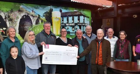 Patrick's Day swimmers present cheque to Kildare mural fund