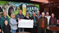 Patrick's Day swimmers present cheque to Kildare mural fund