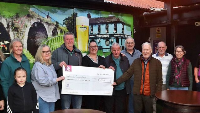 Patrick's Day swimmers present cheque to Kildare mural fund