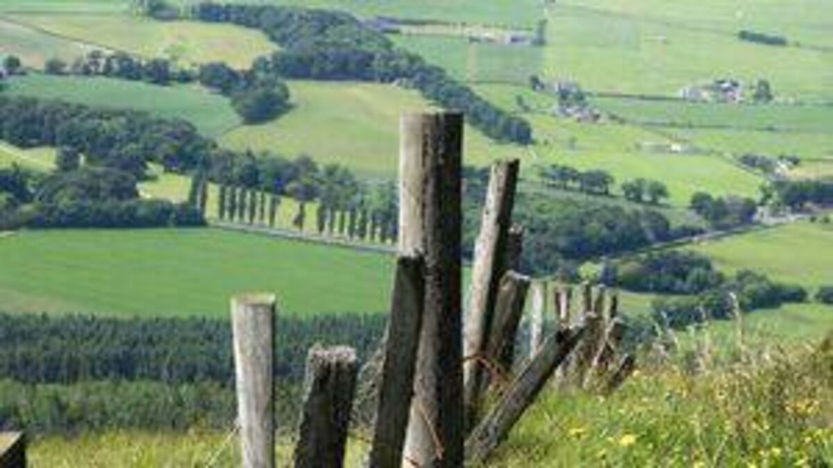 Parts of Kildare to miss out on Just Transition funding