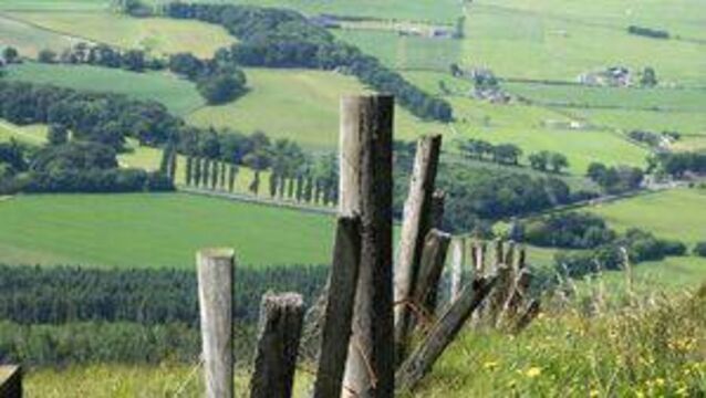 <p>The fund has been allocated to areas, primarily the midland counties such as Laois and Offaly, but targets affected parts of Kildare also</p>