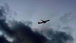 ‘I’m not a champion for Brazil’, Bord Bia chairman tells committee