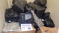 Drugs worth €7 million seized in Athy