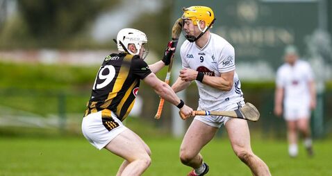 Kildare competitive against the Cats