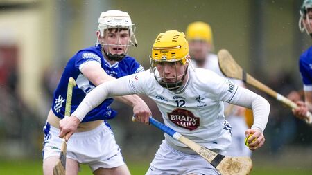 Minor hurlers' Tier 1 hopes ended by Laois 