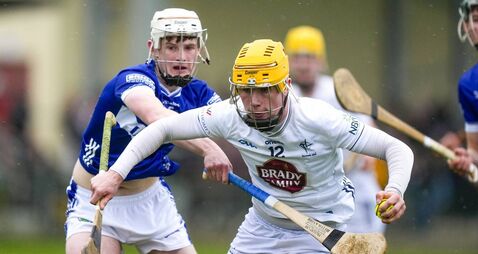 Minor hurlers' Tier 1 hopes ended by Laois 