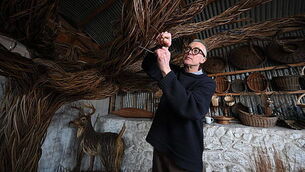 What the papers say: Sunday's front pages