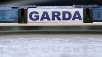 Only 649 traffic gardaí highlights need for 'whole new approach' to road safety, MEP says