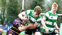 Naas save the best for last to remain in AIL Division 1B for another year
