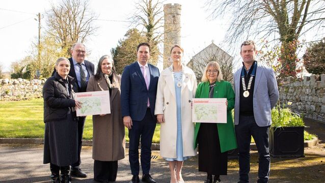 New plan aims to revitalise Kildare town