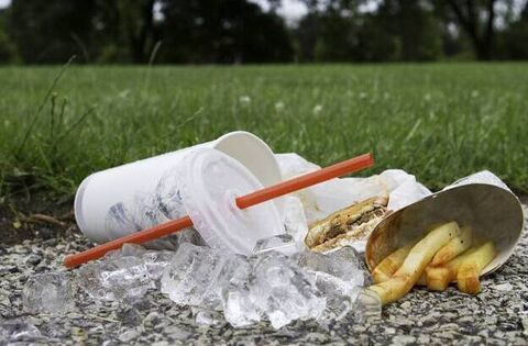 Plan to track Kildare fast food litter fails