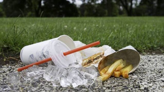 Plan to track Kildare fast food litter fails
