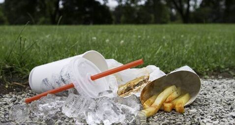 Plan to track Kildare fast food litter fails