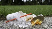 Plan to track Kildare fast food litter fails