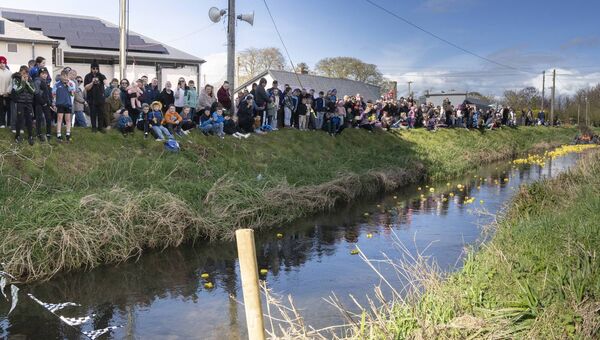 Castledermot Annual Duck Race
