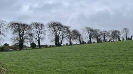 Locals gather for meeting on proposed Kildare solar farm