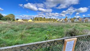 <p>The Kilcullen site</p>