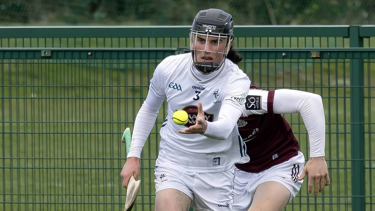 Kildare rally after the break but Galway show their quality