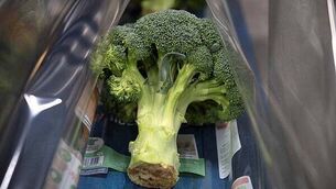 Fuel protesters in court over alleged dangerous driving incidents on M1 Fuel protesters in court over alleged dangerous driving incidents on M1