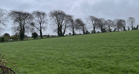 Country's largest broccoli producer and Kildare farmers oppose €168m solar farm