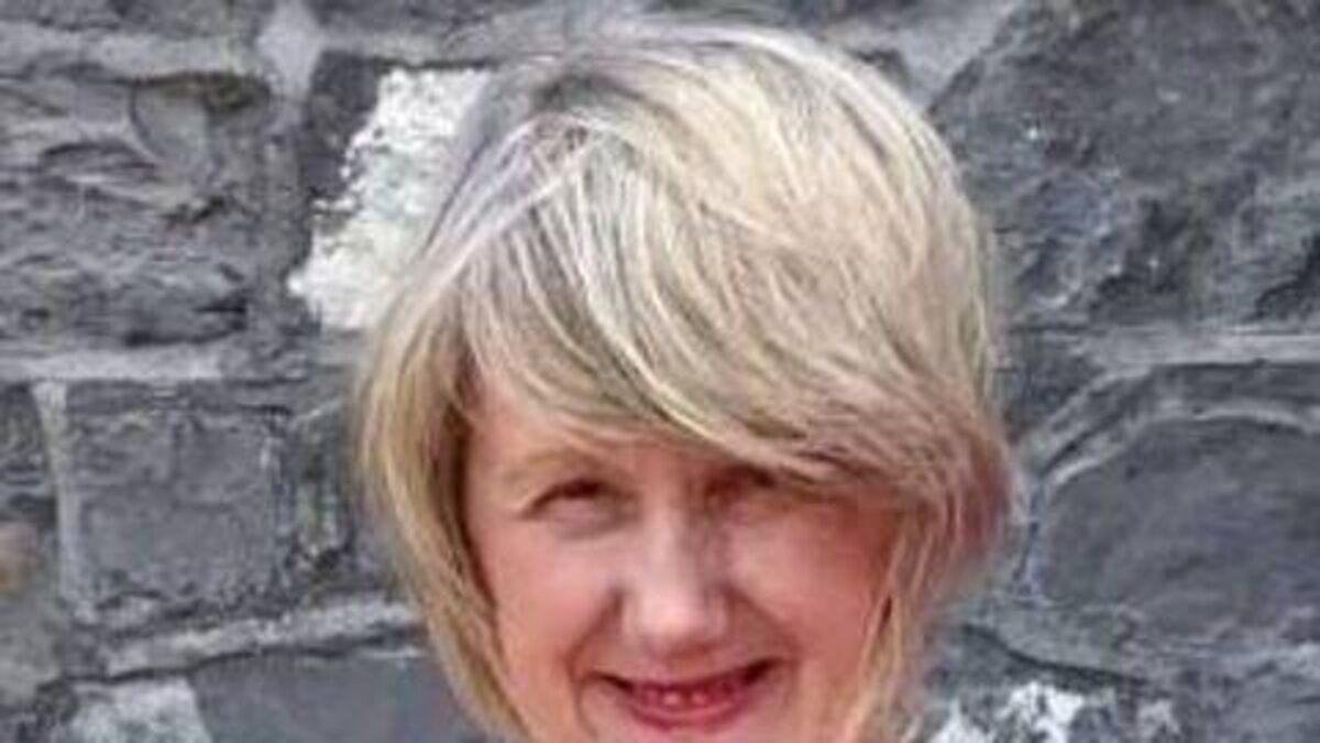 Kildare author publishes second novel