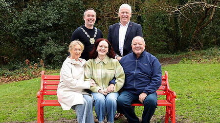 Red bench unveiled in park in tribute to young woman living with heart condition
