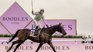 <p>Gaelic Warrior will be looking to complete a Gold Cup double at Punchestown following his recent success at the Cheltenham Festival Photo: ©INPHO/Morgan Treacy</p>