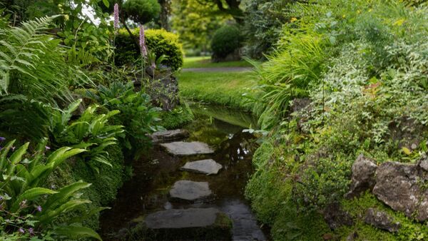 Tranquil Garden Tranquil Garden