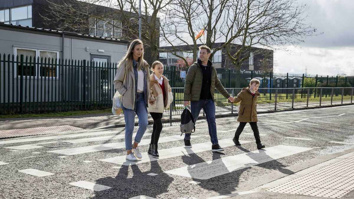 Pedestrian crossing needed on busy Kildare road
