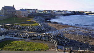 Taoiseach plans ‘step-by-step’ approach to any EU tariffs imposed by US