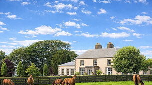 Paschal Donohoe refuses to rule out becoming next head of IMF