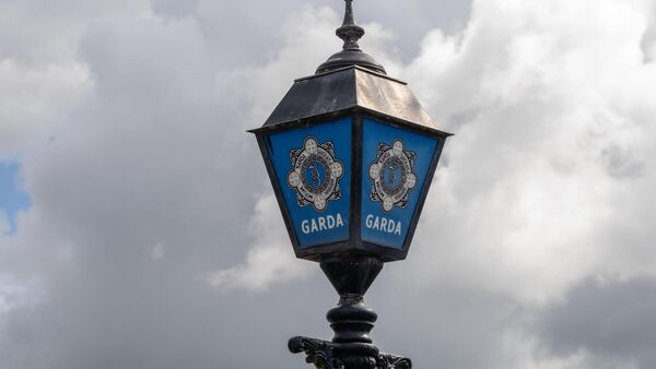 Kildare landscaper swindled €50k from elderly woman