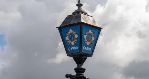 Kildare landscaper swindled €50k from elderly woman 