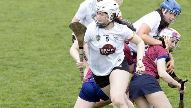 Westmeath star Dowdall torments gutsy Kildare in Leinster quarters 