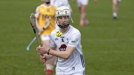 Saffrons inflict big defeat on minor hurlers