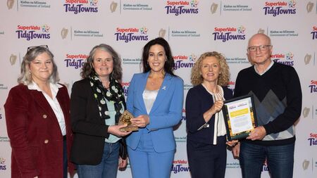 Kildare Tidy Towns groups receive awards