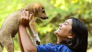 Lyrid meteor shower set to be visible across Ireland