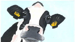 Fine Gael's Josepha Madigan resigns as junior minister