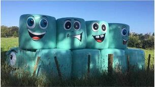 <p>Silage stored with a sense of humour in south Kildare.</p>
