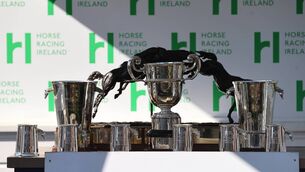 <p>A view of the champion trophies that will be presented at the end of the Punchestown Festival Photo: ©INPHO/Bryan Keane</p>