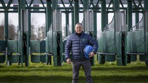 <p>John Wixted, Stall Handler, Horse Racing Ireland, Ballymany, County Kildare Photo: Patrick McCann/Racing Post </p>