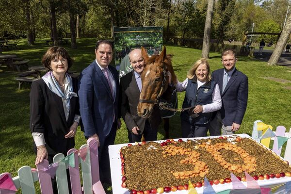 Ahead of his milestone 30th birthday, National Hunt legend Beef or Salmon is pictured with Darina Walsh, Acting Chairperson Irish National Stud &amp; Gardens, Minister for Agriculture, Martin Heydon, David Mongey, Incoming Chairman, National Stud &amp; Gardens, Cathal Beale, CEO