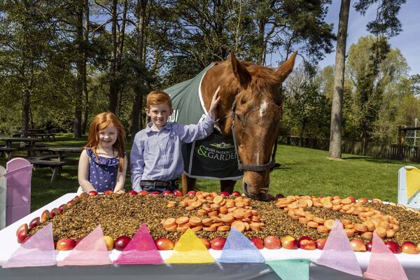 Ahead of his milestone 30th birthday, National Hunt legend Beef or Salmon is pictured with Paul Charles (8) and Anna Mae (5) Carberry  at the Irish National Stud &amp; Gardens 