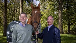 <p>Ahead of his milestone 30th birthday, National Hunt legend Beef or Salmon reunited with his former jockeys Paul Carberry and Andrew McNamara at the Irish National Stud &amp; Gardens, where he enjoys his retirement. Visitors are invited to join the official celebrations with Beef or Salmon on 30th April from 11am–12pm to hear more about this remarkable horse and mark his special birthday. For further information and to purchase tickets, visit www.irishnationalstud.ie   Photo: Conor Healy / Picture It Photography</p>